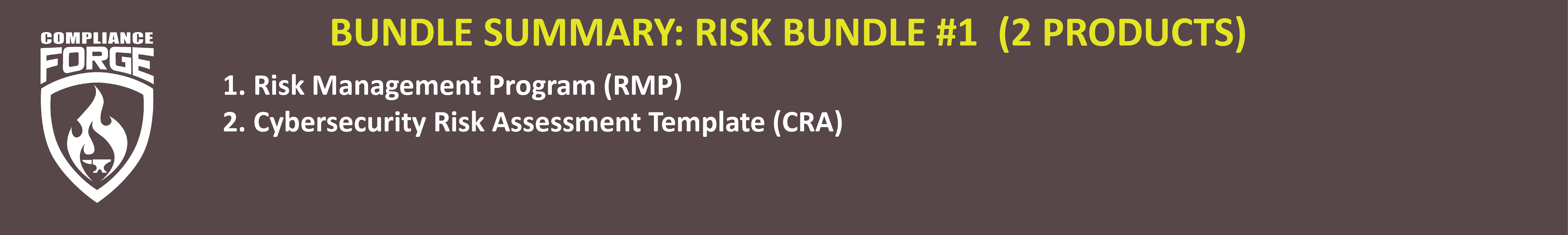 cybersecurity risk management and risk assessment template