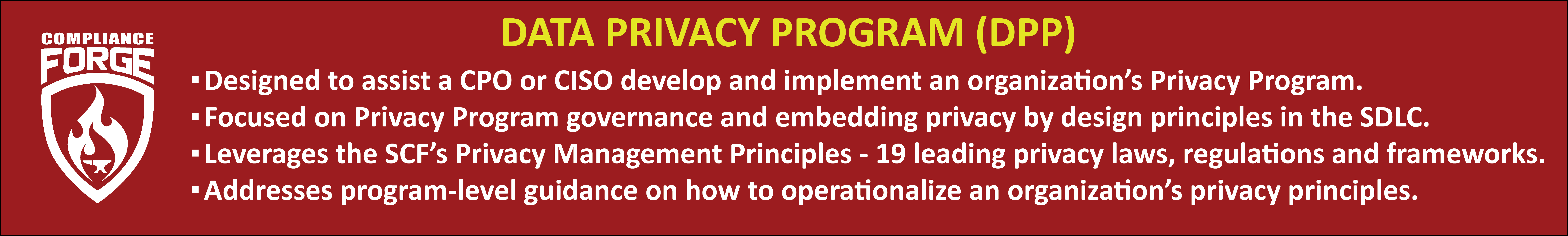 Digital Privacy Program Template